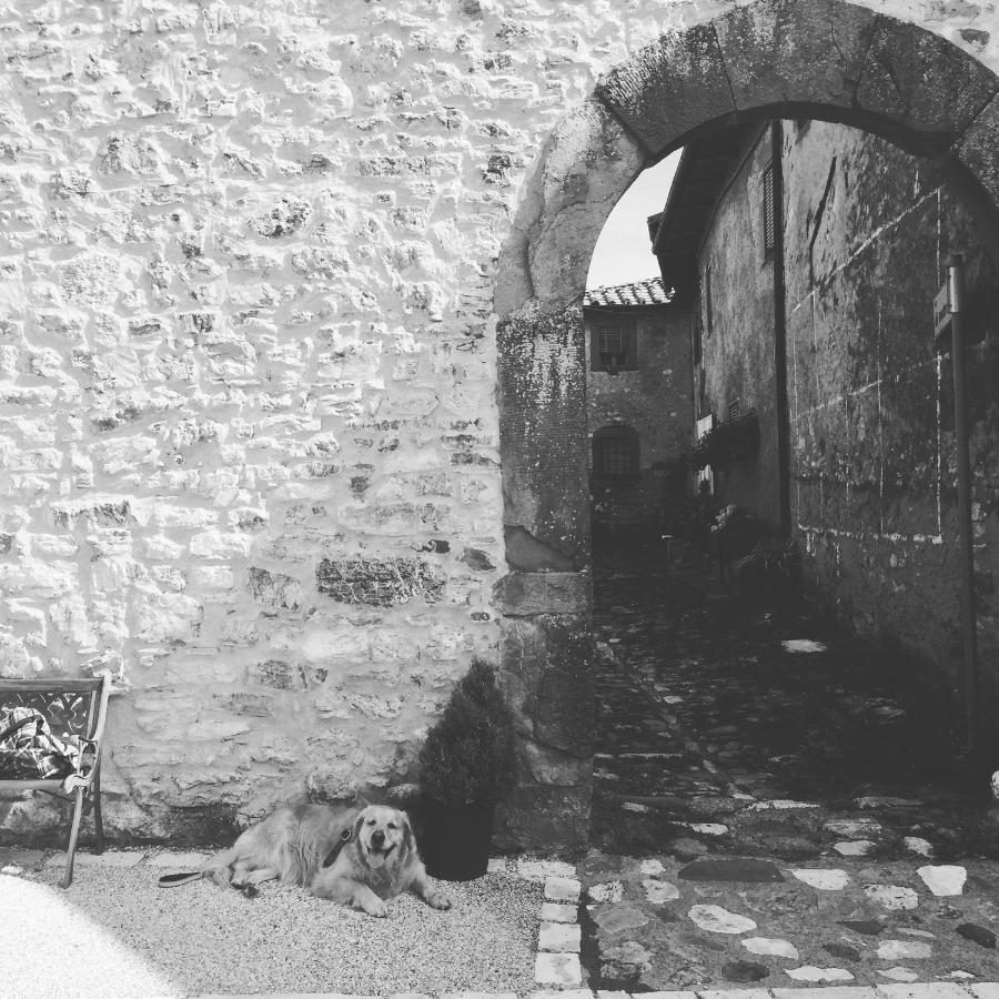La Difesa Lejlighed San Romano  Eksteriør billede